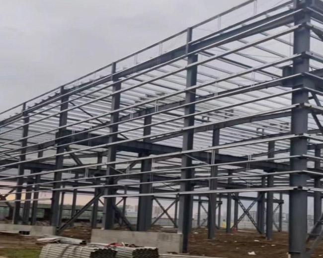 安徽蕪湖金瑞產業園鋼結構廠房